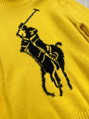 RALPH LAUREN 25S TURTLENECK SWEATER 255