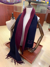 HERMES 25S SCARF 200 IN CASHMERE 856514