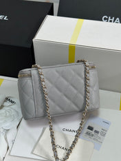 VANITY CASE 17 CRYSTAL STUDDED LOGO IN GREY CALFSKIN GOLD HARDWARE