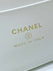 STRASS VANITY QUILTED CASE 19 IN WHITE CALFSKIN WITH GOLD METALLIC