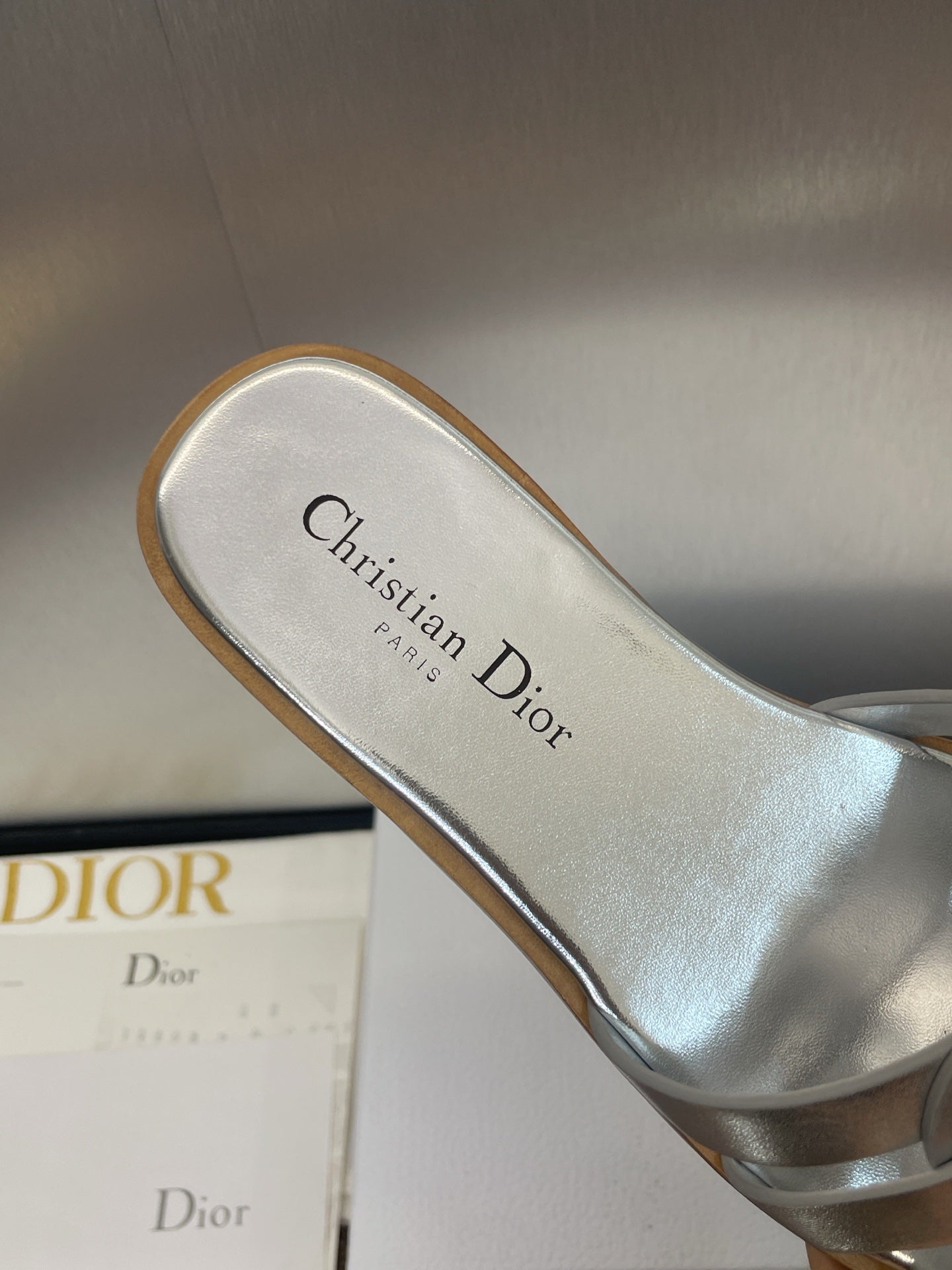D-CLUB SLIDE SANDAL 25S IN SILVER GLOSSY CALFSKIN